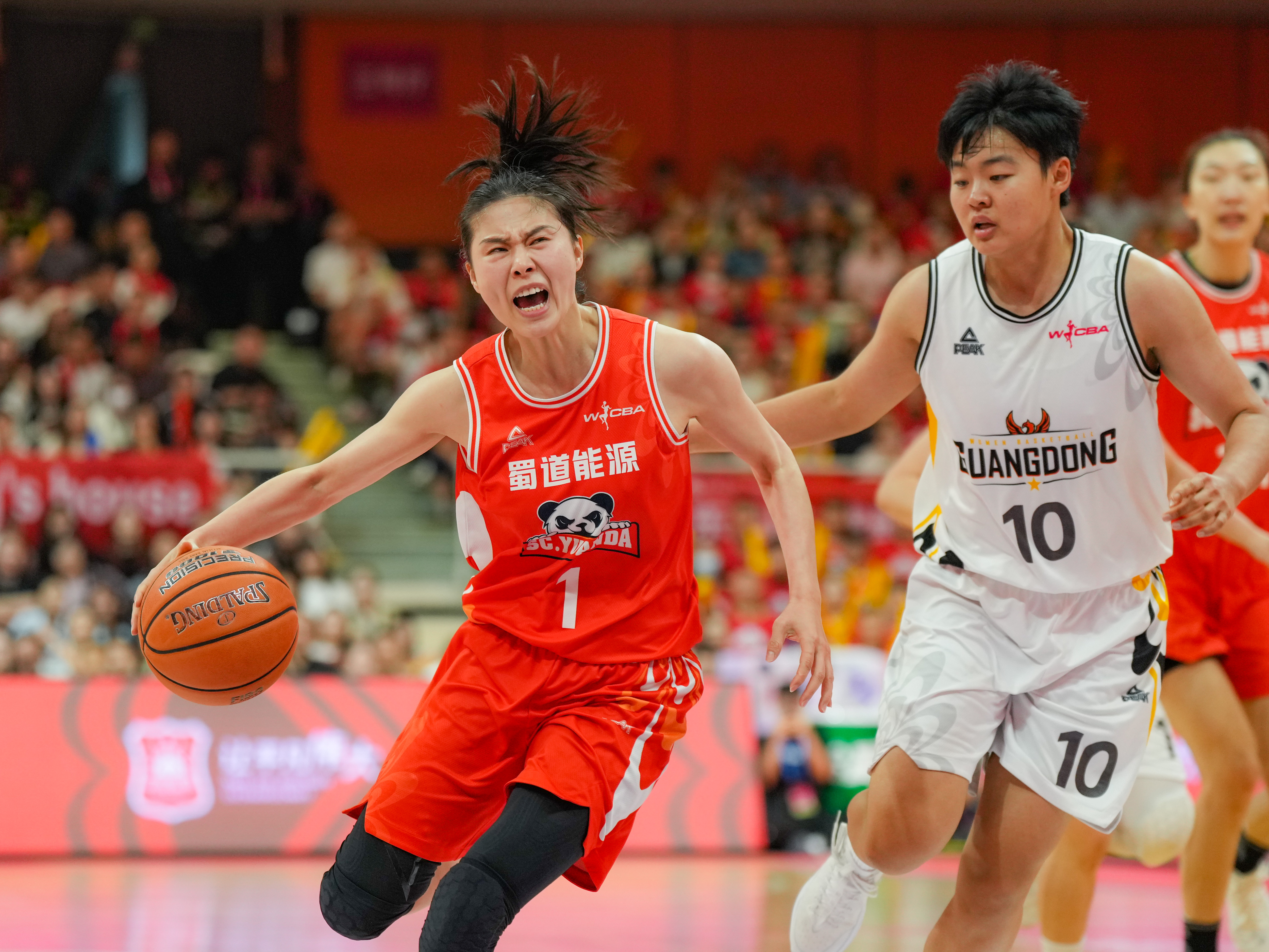 cba四川的比赛_(cba四川比赛场地) 第2张 cba四川的比赛_(cba四川比赛场地) 第2张