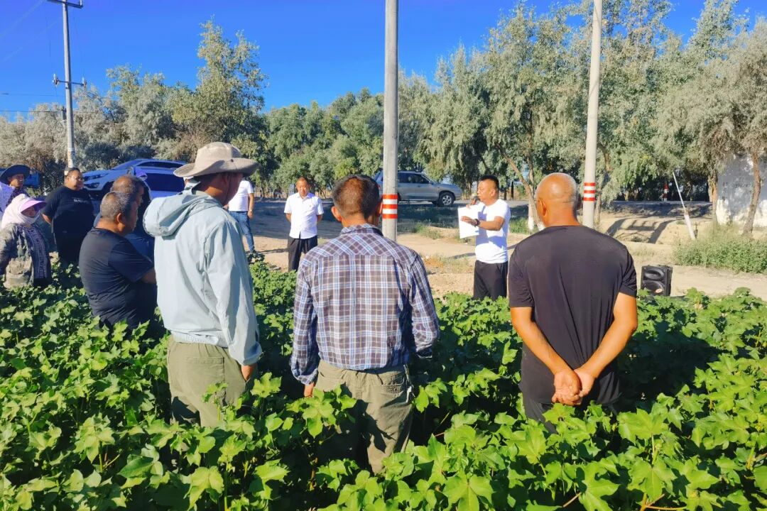 张新林_(张梓琳比基尼长腿图片) 第2张 张新林_(张梓琳比基尼长腿图片) 第2张