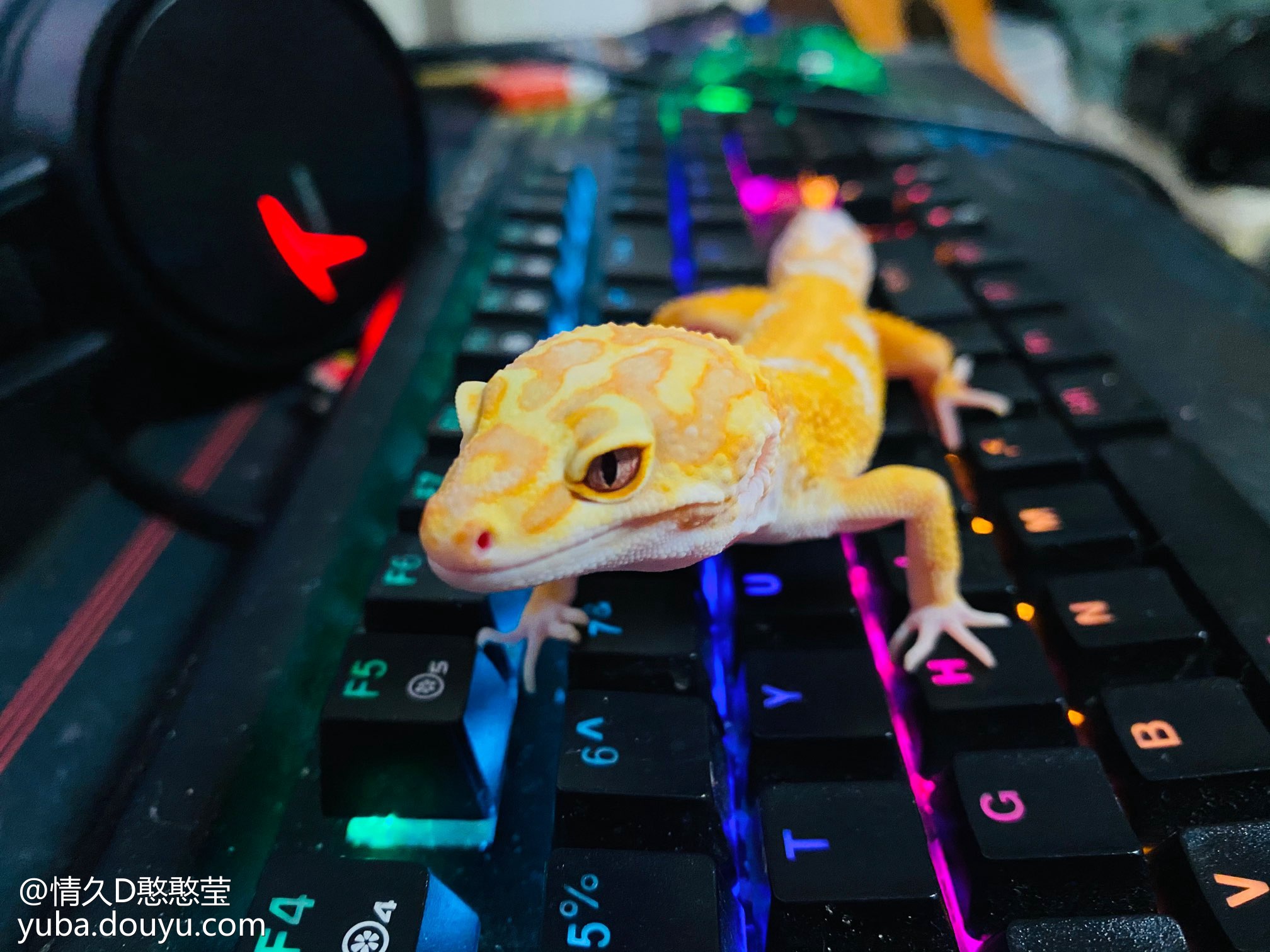 0.8吧直播吧_(直播吧522)  第1张