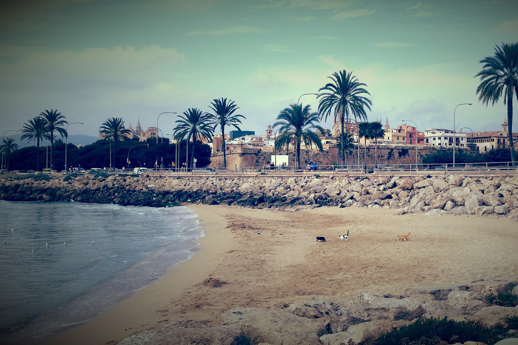 关于尼日联:第一银行VS拉各斯竞技的信息 第1张 关于尼日联:第一银行VS拉各斯竞技的信息 第1张