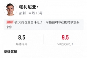 包含帕利尼亚回英超后表现出色获评全场最高分的词条  第2张