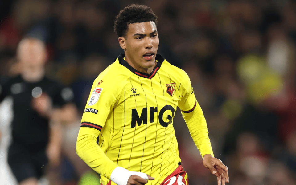 英冠沃特福德VS布里斯托尔城今日预测布里斯托尔城近期表现有所起伏的简单介绍  第1张