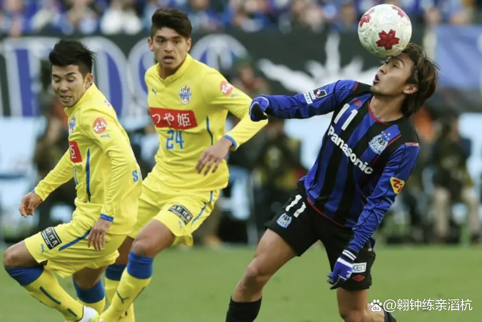 日职乙水户蜀葵VS富山胜利比赛预测水户蜀葵本赛季表现出色的简单介绍 第1张 日职乙水户蜀葵VS富山胜利比赛预测水户蜀葵本赛季表现出色的简单介绍 第1张