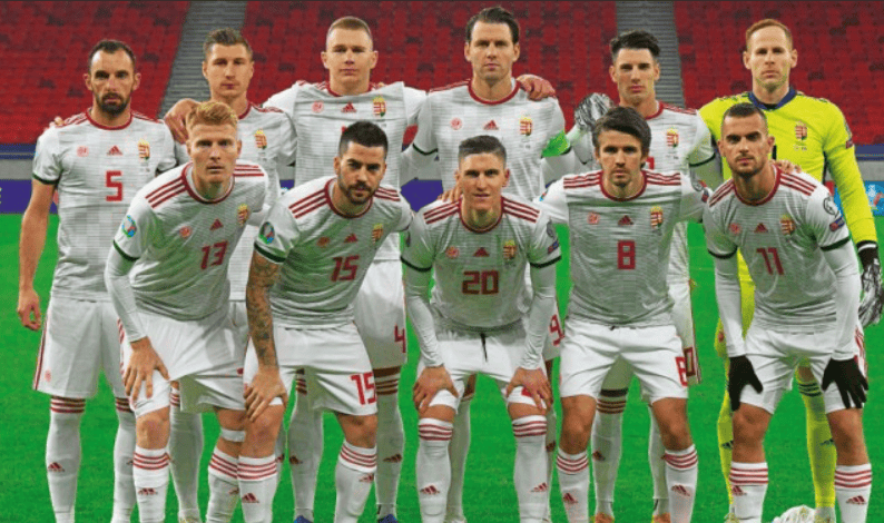 世预赛匈牙利vs爱尔兰预测分析F组积分榜形势紧张的简单介绍 第1张 世预赛匈牙利vs爱尔兰预测分析F组积分榜形势紧张的简单介绍 第1张