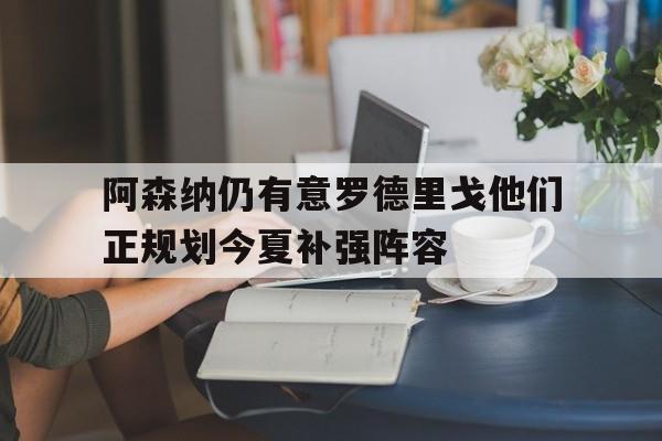 包含阿森纳仍有意罗德里戈他们正规划今夏补强阵容的词条