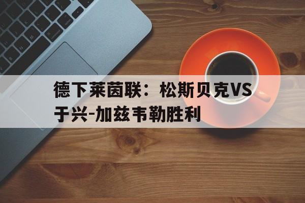 德下莱茵联：松斯贝克VS于兴-加兹韦勒胜利的简单介绍  第1张