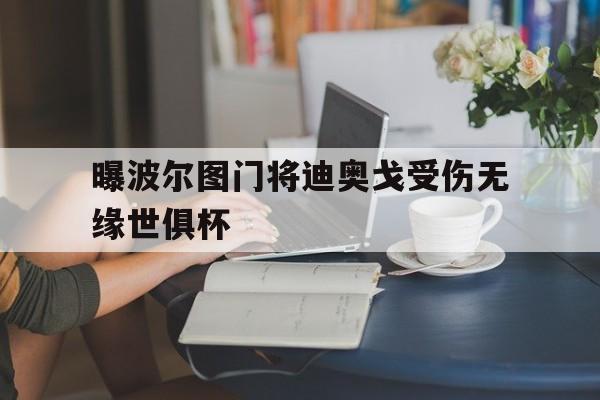 曝波尔图门将迪奥戈受伤无缘世俱杯的简单介绍