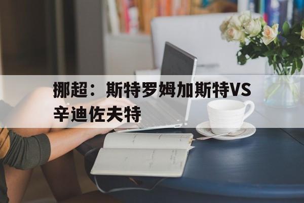 挪超:斯特罗姆加斯特VS辛迪佐夫特的简单介绍 第1张 挪超:斯特罗姆加斯特VS辛迪佐夫特的简单介绍 第1张